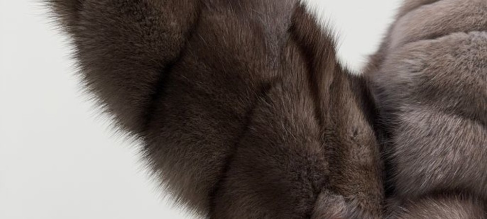 История и преимущества соболиного меха